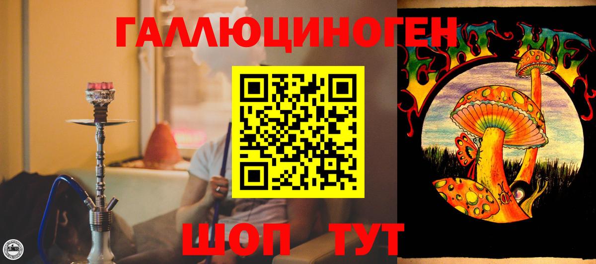 Псилоцибиновые грибы GOLDEN TEACHER  Вход с VPN  Ирбит 