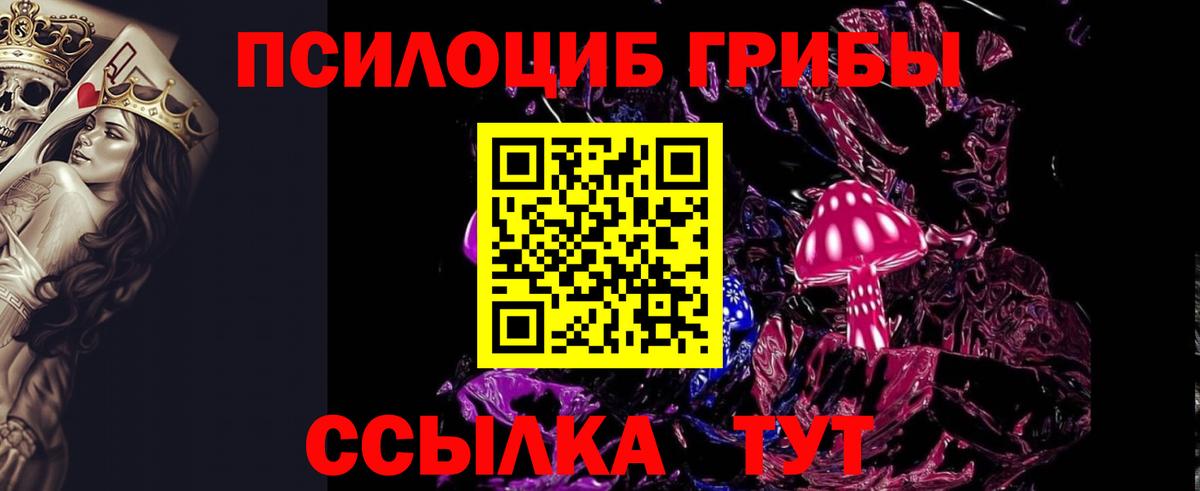 Псилоцибиновые грибы Cubensis Ирбит